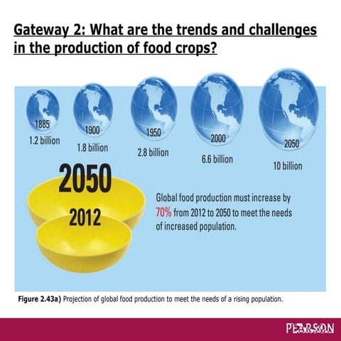 Ch 2 GW 2 - Food Trends & Challenges