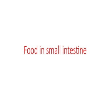 Digestion in the small and large intestine.pptx