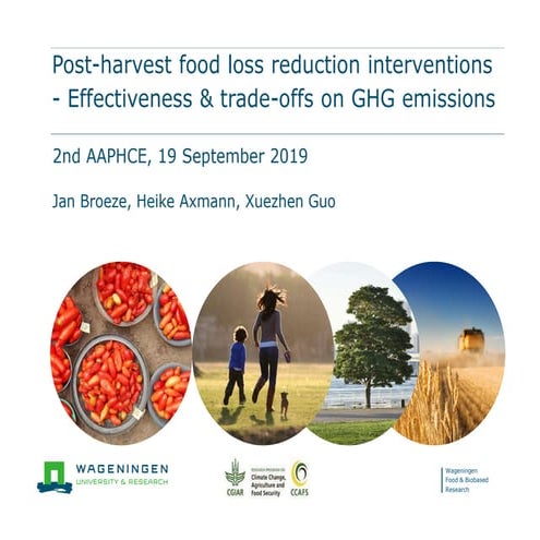 Post-harvest food loss reduction interventions - Effectiveness & trade-offs o...