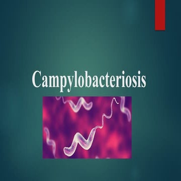 Food Microbiology lect on  Campylobacter