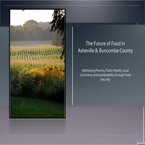 Food Policy Powerpoint 4/24/12