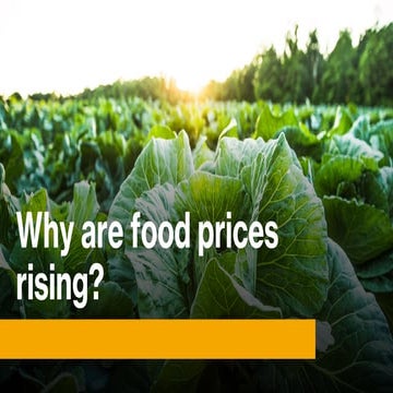 Why are food prices rising?