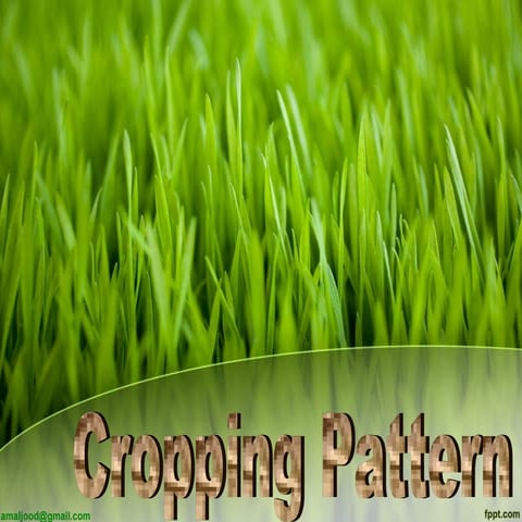 Cropping Pattern