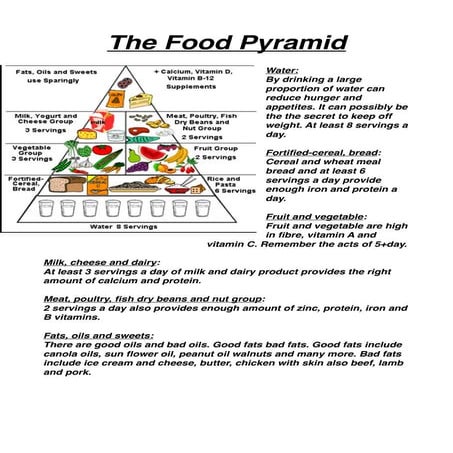 Food pyramid | PDF