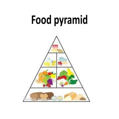 Food pyramid   wiki