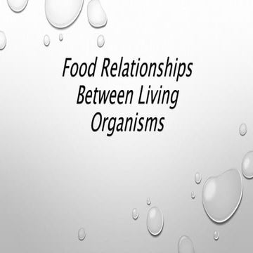Food relationships among living organisms