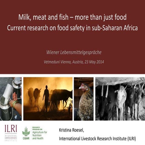 Milk, meat and fish—More than just food: Current research on food safety in s...