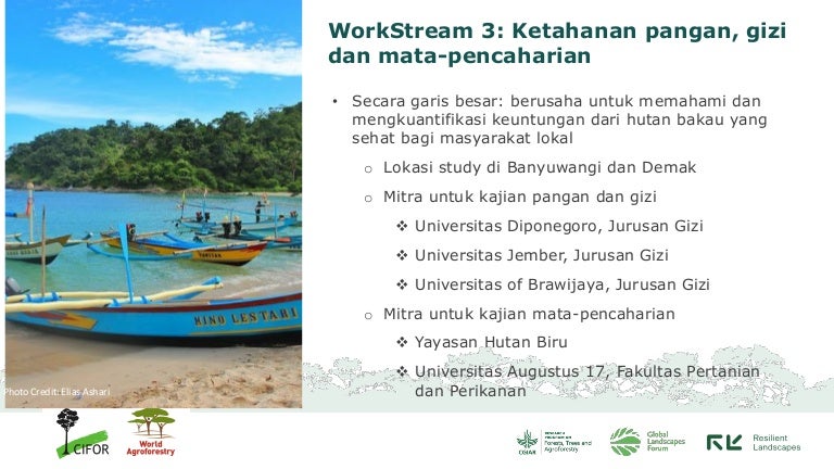 thumbnail of  Workstream 3: Food security, nutrition, and livelihoods