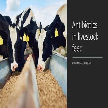 Antibiotics in Livestock feed: how it effects us