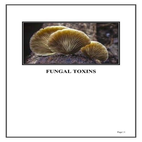 FOOD toxicology, FUNGAL TOXINS, GROUPS OF MYCOTOXINS etc.