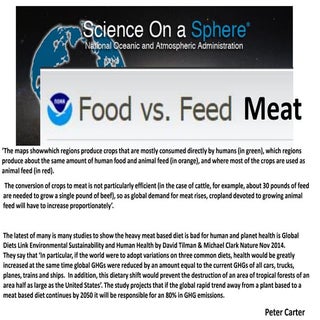 Meat: human health and greenhouse g...