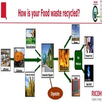 Food waste banner