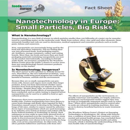 Nanotechnology in the Food Industry_ A Short Review _ Food Safety.pdf