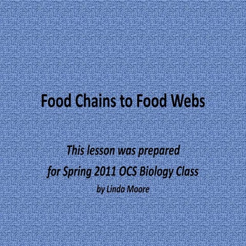 Food Chains to Food Webs