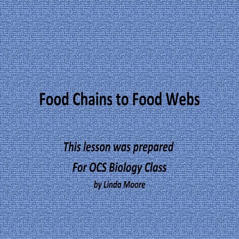 Food Chain to Food Web