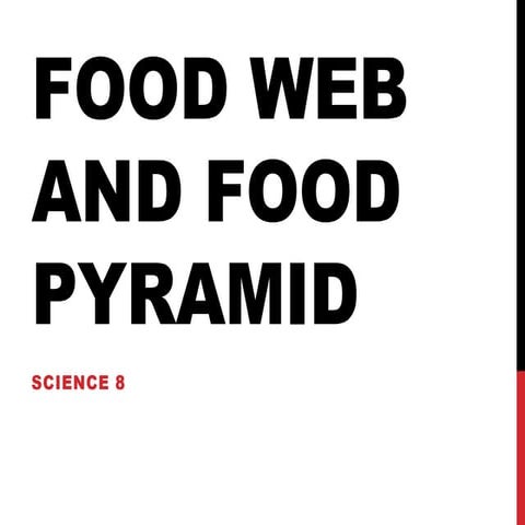 Food Web and Food Pyramid, Prepared by: Edsyl Berongoy Penas, LPT
