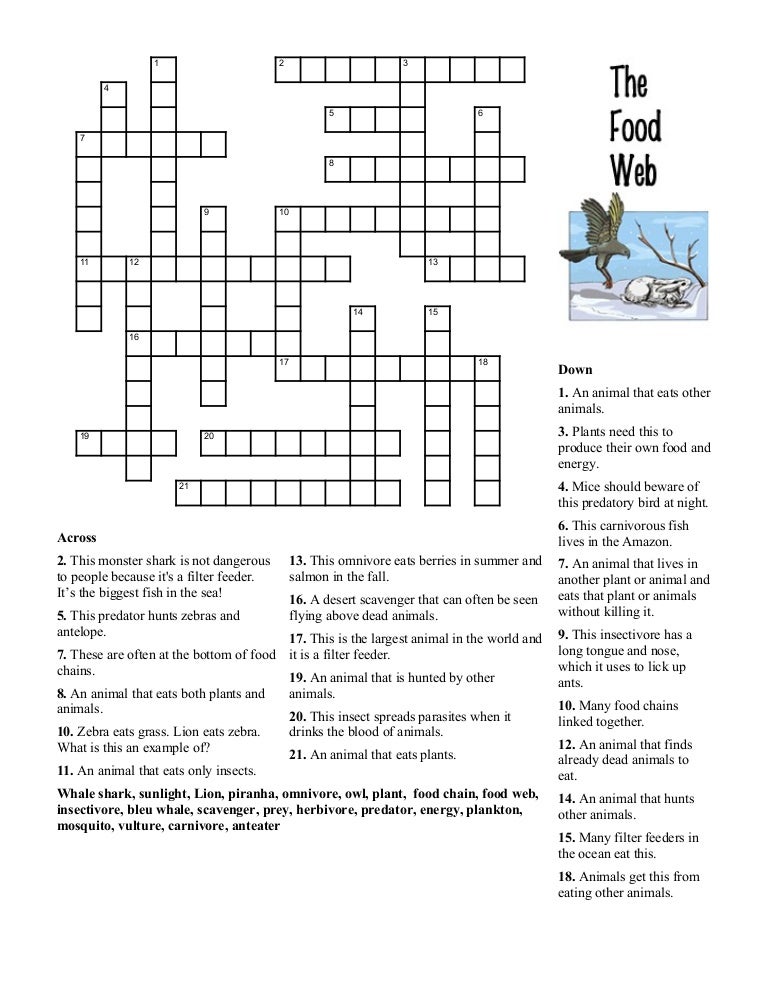 Human Body Organ Crossword Clue Letters Human Body Organ Crossword Clue Letters