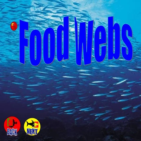 Food webs