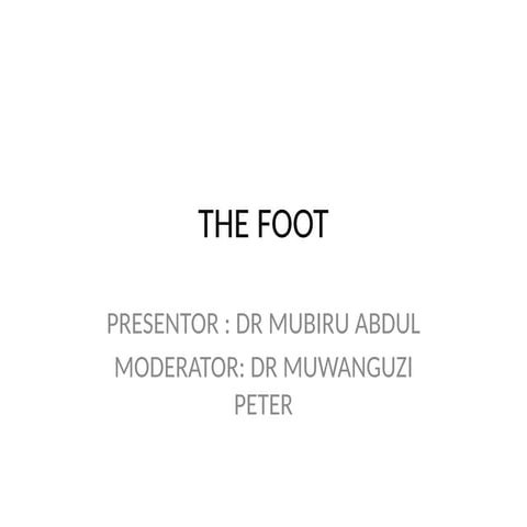 Anatomy of the foot power point presentation.pptx