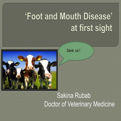 Foot and Mouth Disease at first sight