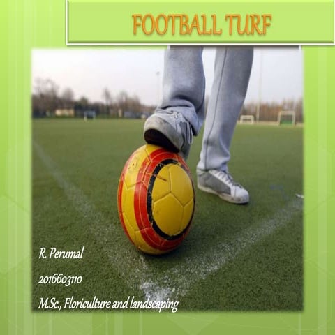 Football turf 
