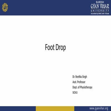 Foot Drop | PPTX
