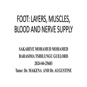 Dorsum of foot and medial side of leg | PPTX