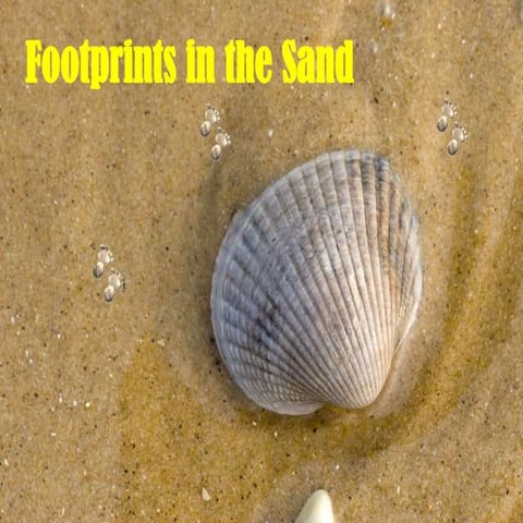 Footprints in the Sand