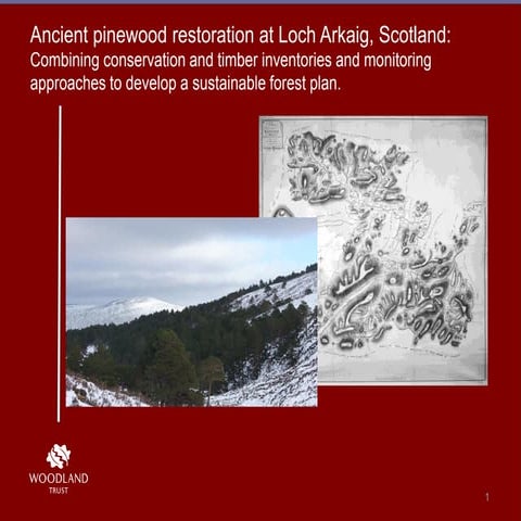 Teaching Forest Stand Dynamics | PDF