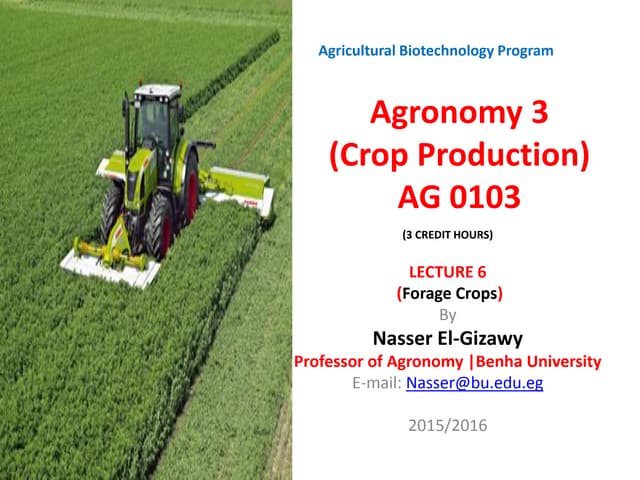 Forage crops