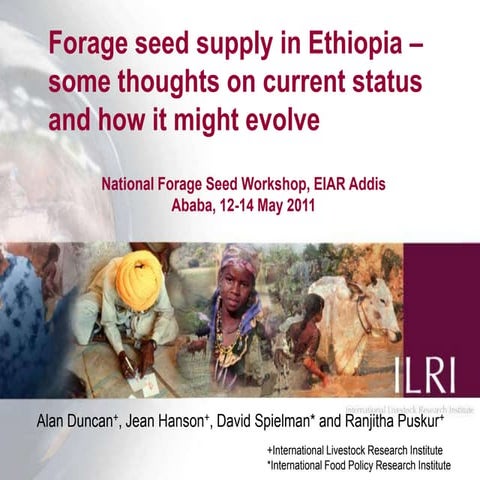 Forage seed supply in Ethiopia—Some thoughts on current status and how it mig...