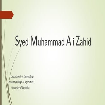 Foraging behavior in honey bees