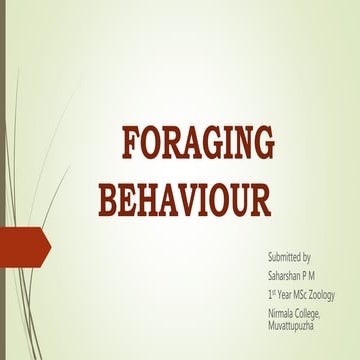 Foraging behaviour