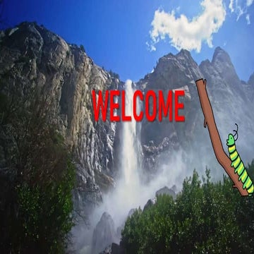 OPTIMAL FORAGING THEORY, MARGINAL VALUE THEORUM AND PATCH DEPATRTURE RULES UN...