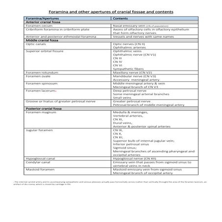 Foramina and other apertures of cranial fossae and contents