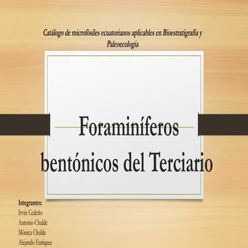 Foraminíferos bentónicos del Terciario.pptx