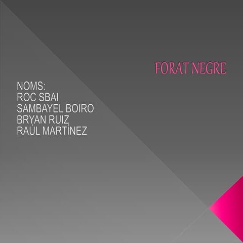 Forat negre 