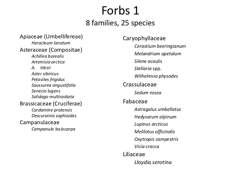 Forbs species with audio