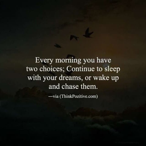 Forces what are they?