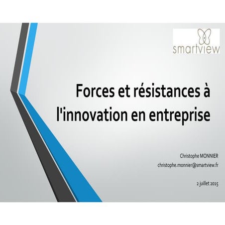 Forces et résistances à l'innovation dans l'entreprise - juillet 2015- smart view c.monnier