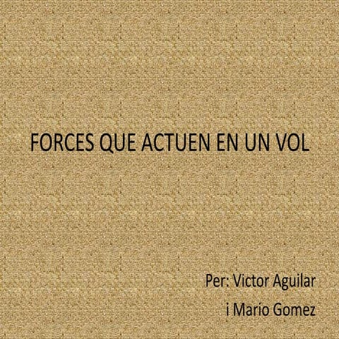 Forces que actuen en un vol