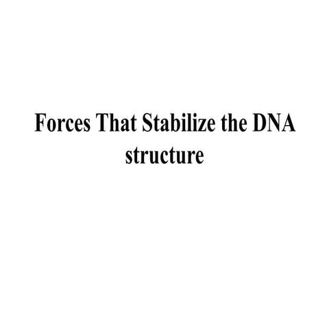 Forces That Stabilize the DNA structure.pptx