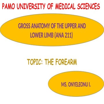Forearm gross anatomy of forearm 211.pptx