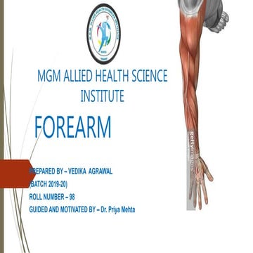 Forearm Anatomy
