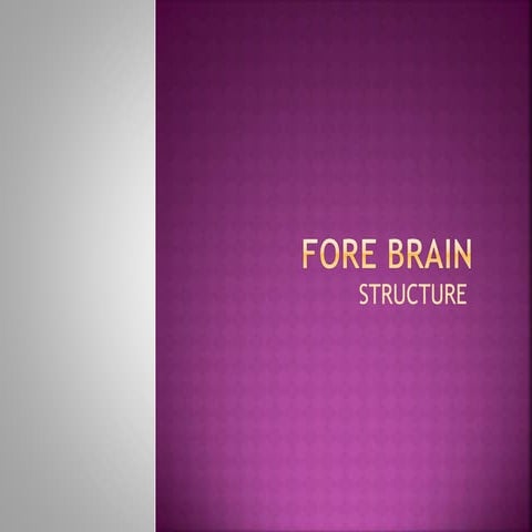 Fore brain