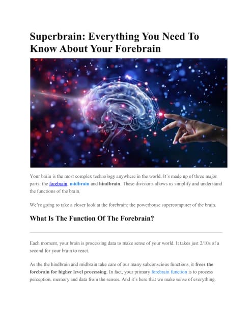 Forebrain