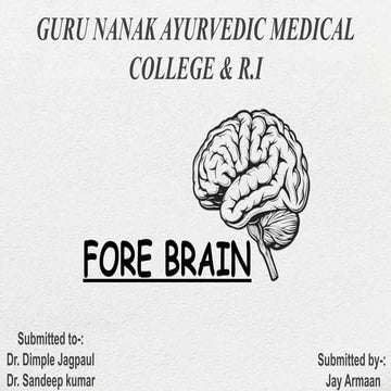 FORE BRAIN (cerebrum).pptx cerebrum anatomy fore brain with diagrams