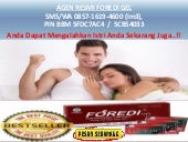 0857-1619-4600 (Im3), Harga Foredi ...