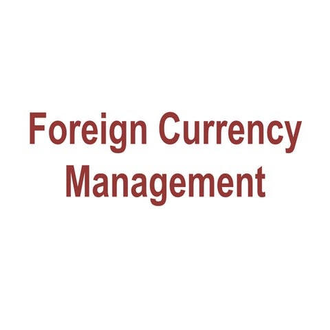 Foreign Currency Management