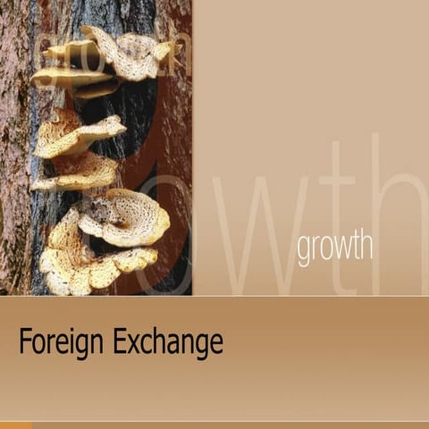 Foreign exchange